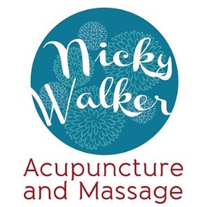 Scenic view of Paekākāriki village on New Zealand’s coast with lush green landscapes and vibrant community life.