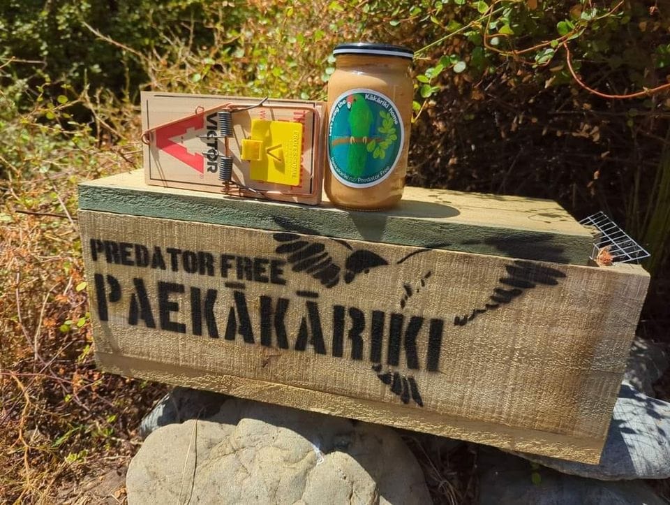 Predator Free Paekākāriki Drop-in session
