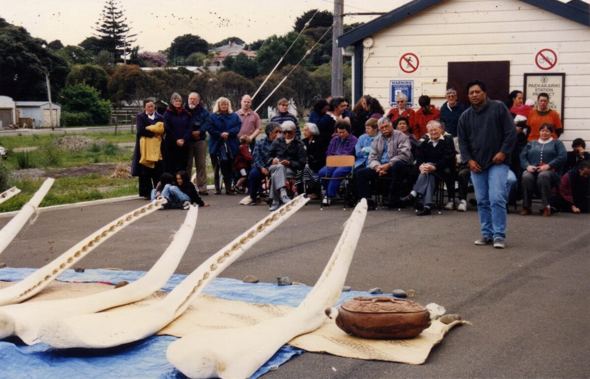 The 1996 Paekākāriki Whale Stranding: A Poem